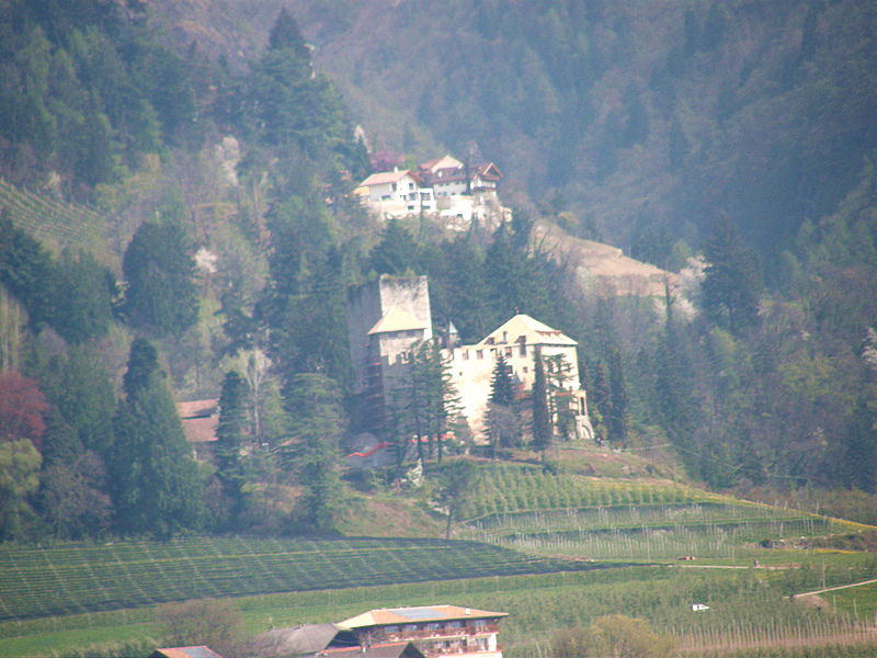 P4120121.JPG