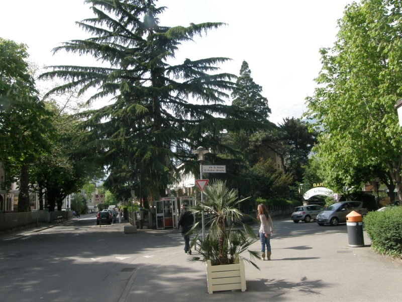 P4120136.jpg