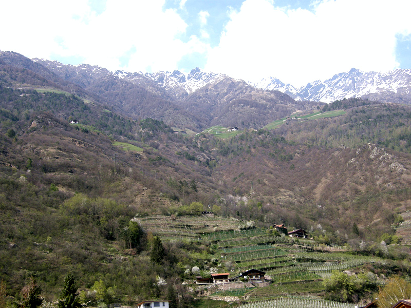 P4120139.JPG