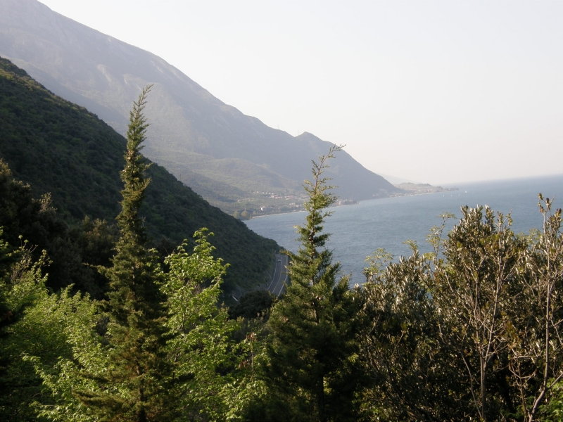 P4130235.jpg