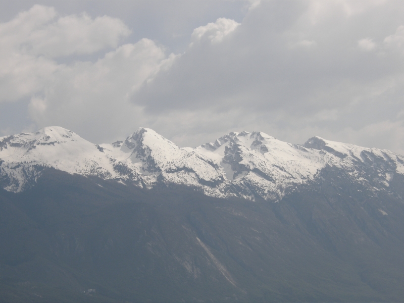 P4130347.jpg