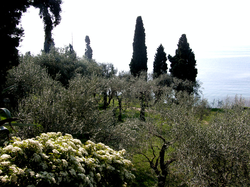 P4140453.JPG