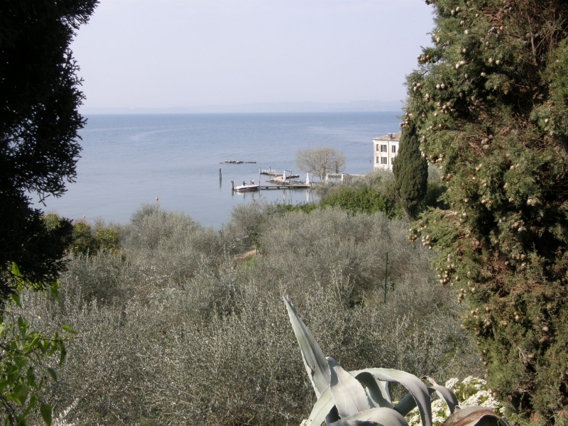 P4140454.jpg