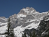 P4120041.jpg