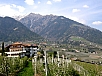 P4120117.JPG