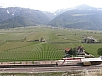 P4120152.jpg