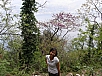P4130355.jpg