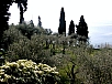 P4140453.JPG