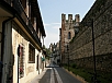 P4140525.jpg