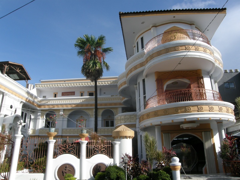 PA250085.jpg