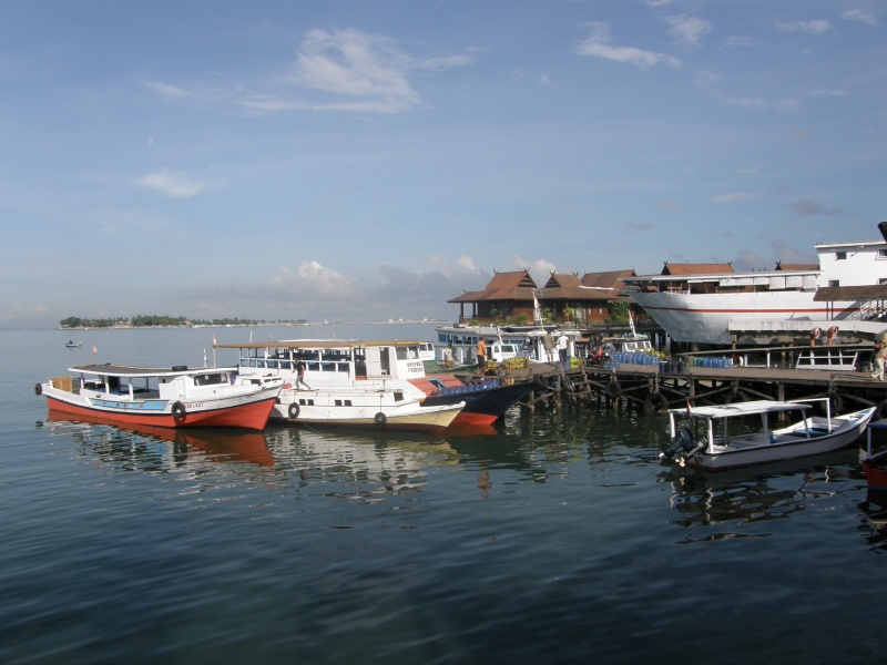 PA250107.jpg