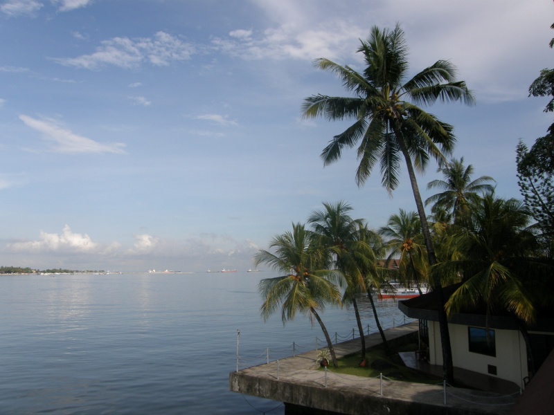 PA250114.jpg