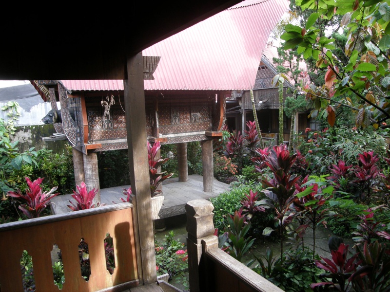 PA260170.jpg
