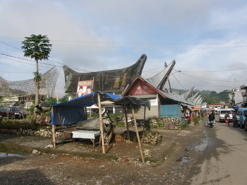 PA260176.jpg