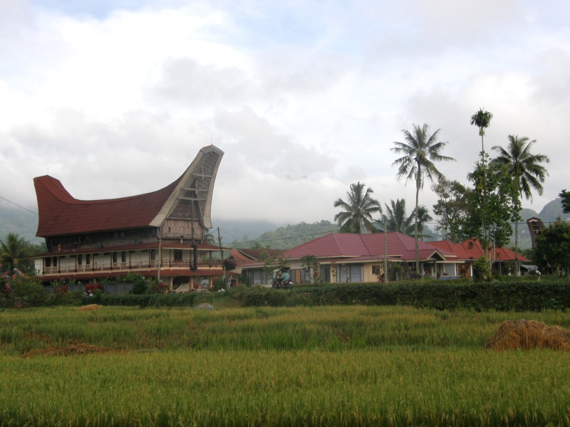 PA260183.jpg