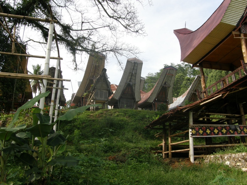 PA260187.jpg