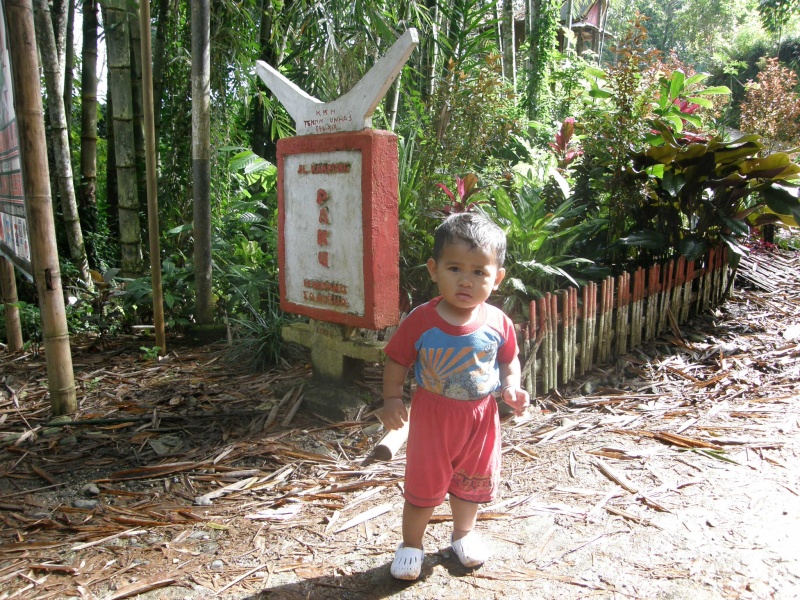 PA260192.jpg