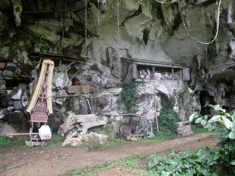 PA260199.jpg
