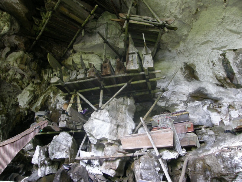 PA260205.jpg