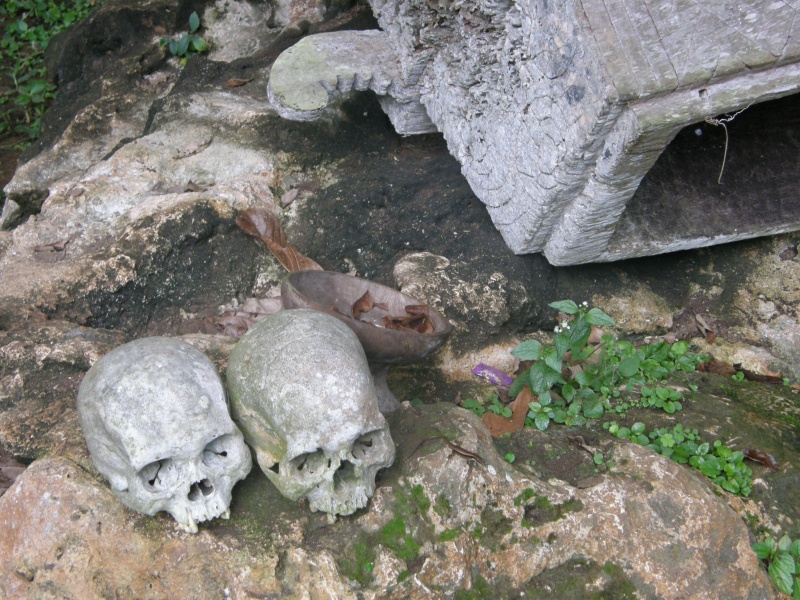 PA260206.jpg