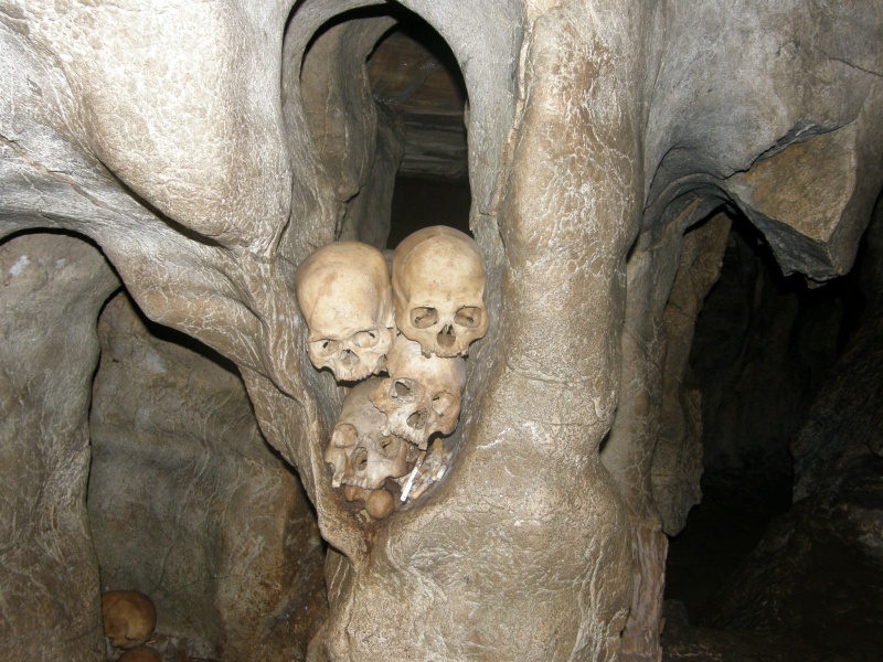 PA260209.jpg