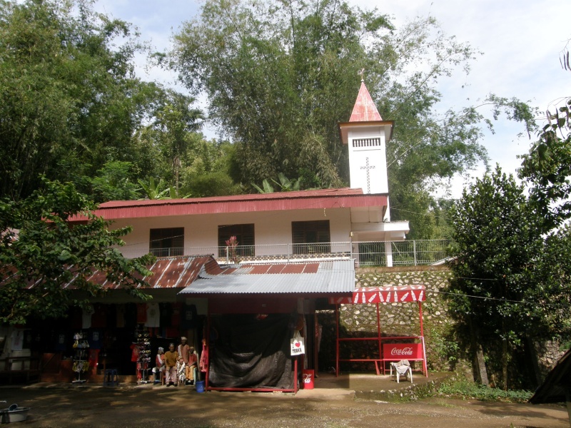 PA260223.jpg