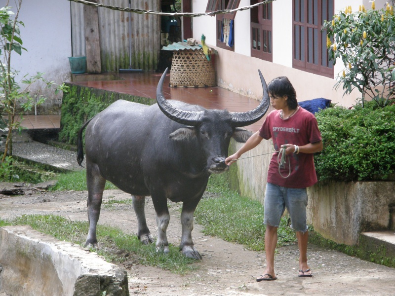 PA260225.jpg