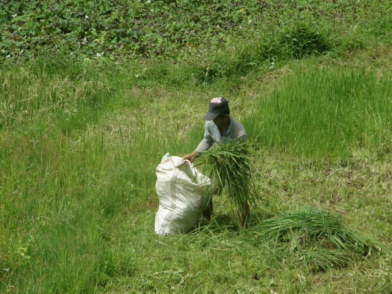 PA260238.jpg