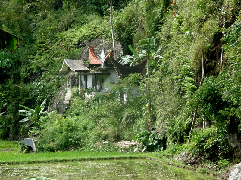 PA260239.jpg