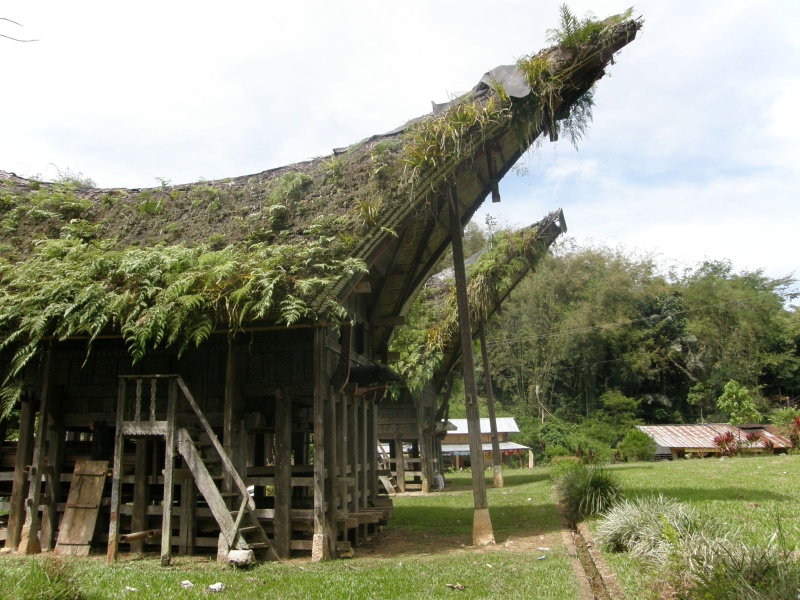 PA260244.jpg