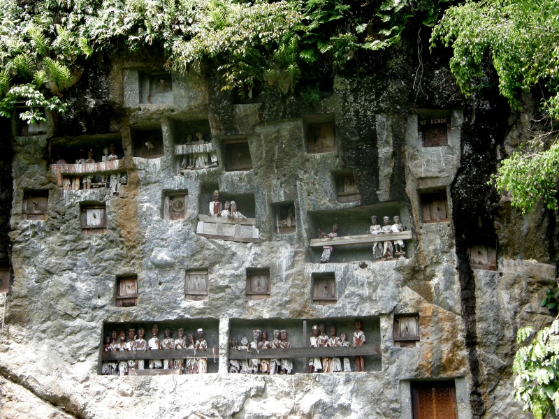 PA260257.jpg