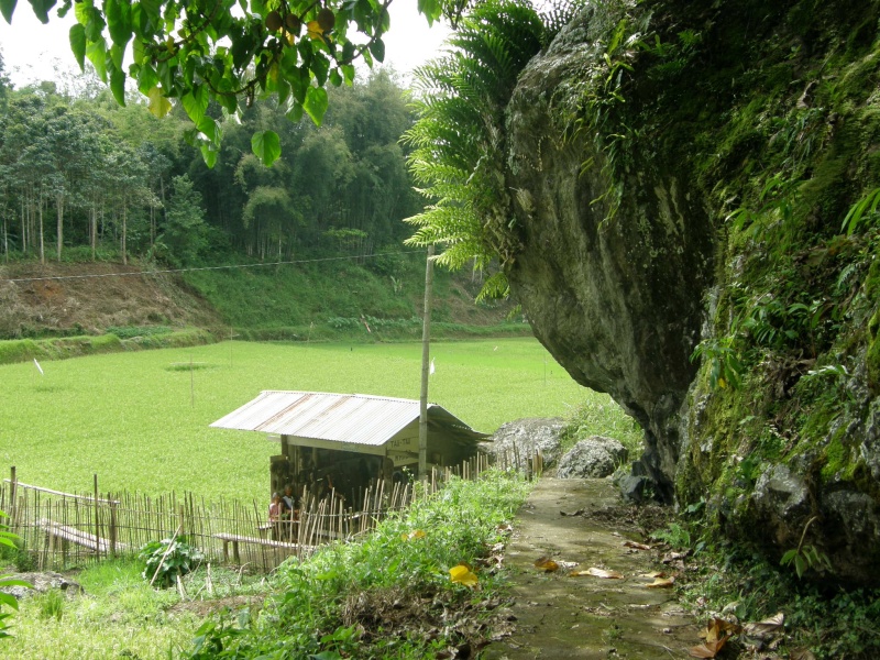 PA260264.jpg