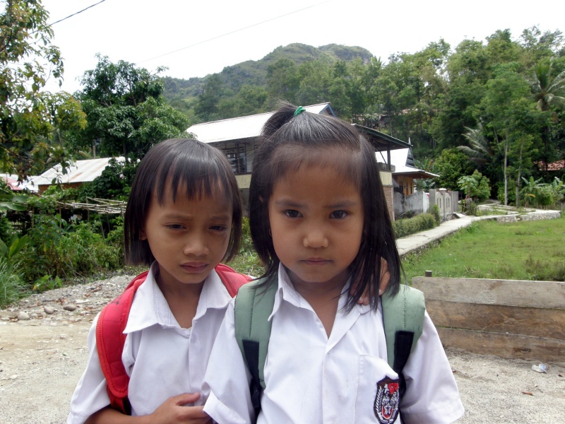 PA260281.jpg