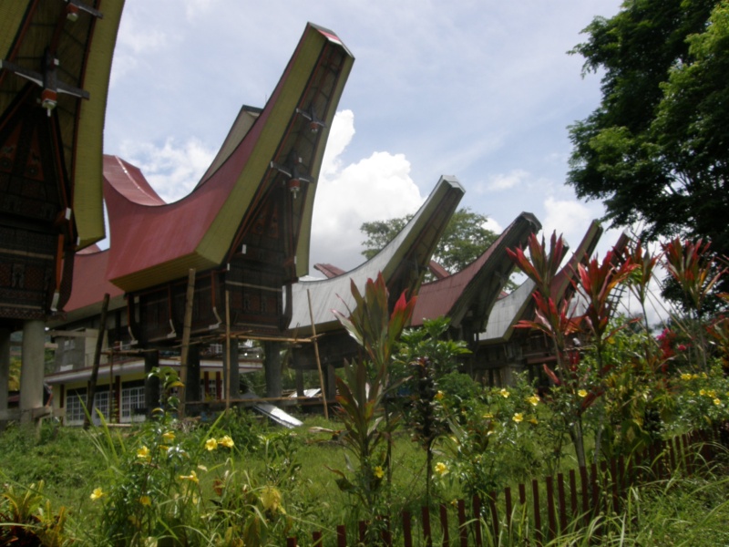 PA260287.jpg