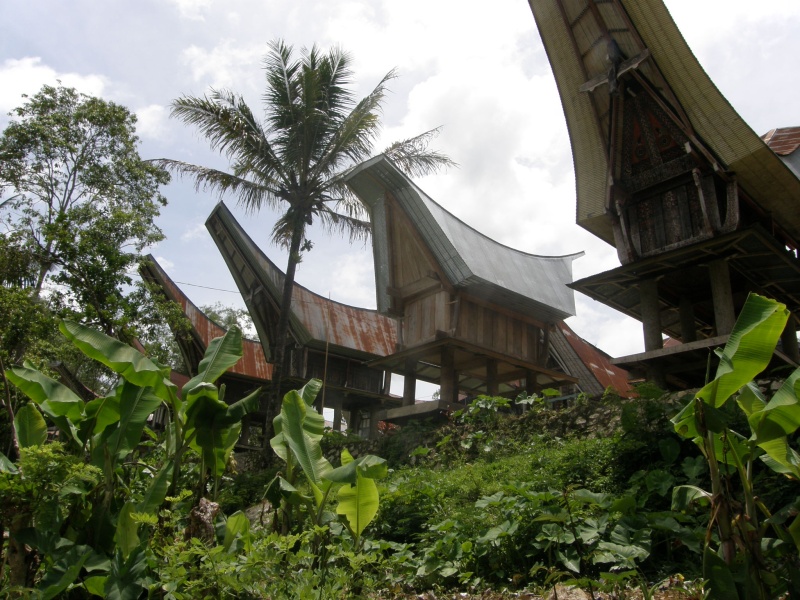 PA260302.jpg