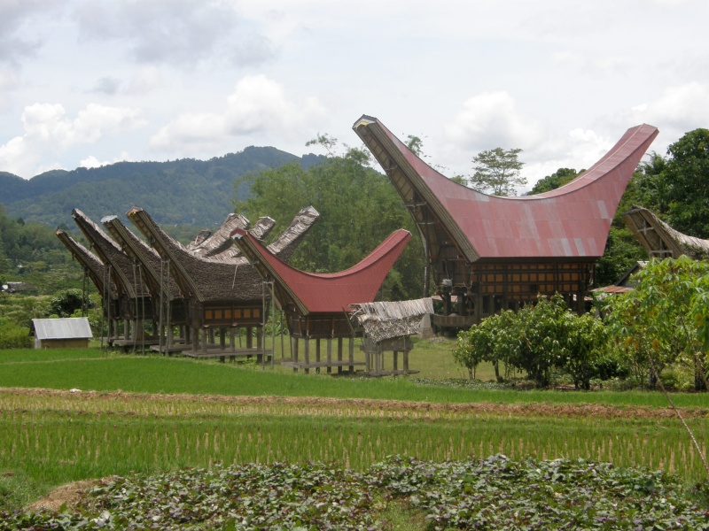 PA260310.jpg