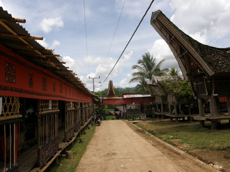 PA260322.jpg