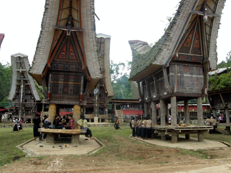 PA260324.jpg