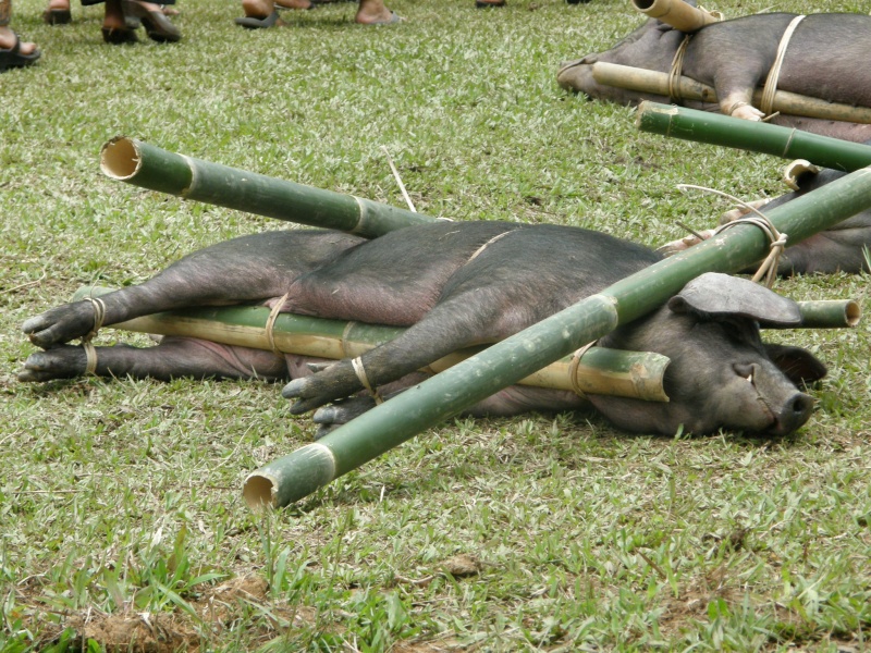 PA260330.jpg
