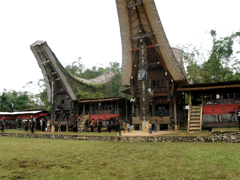 PA260331.jpg