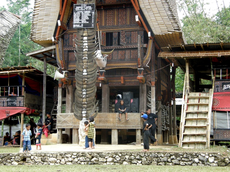 PA260341.jpg