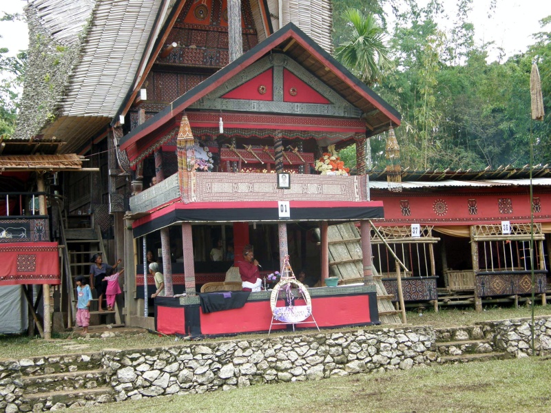 PA260343.jpg