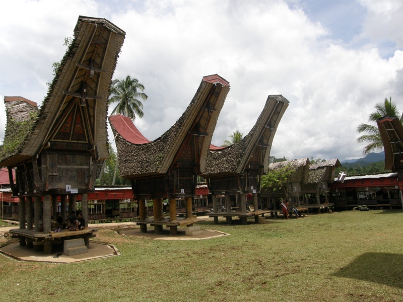 PA260355.jpg