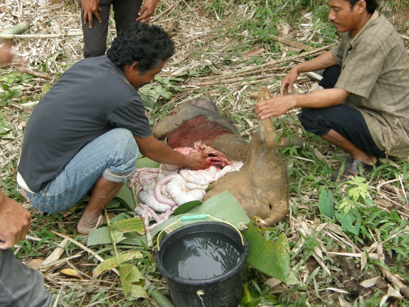 PA260370.jpg