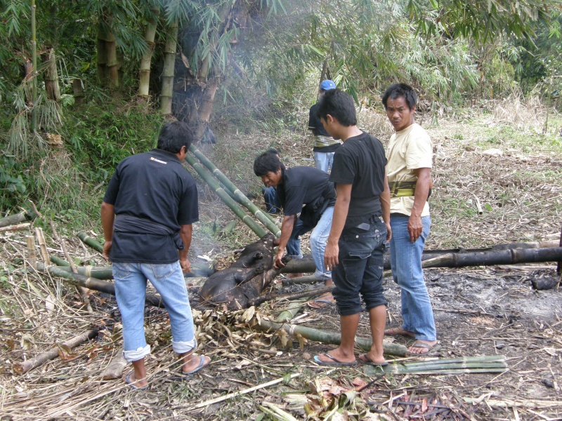 PA260375.jpg