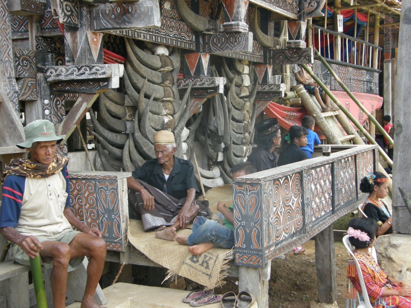 PA260390.jpg