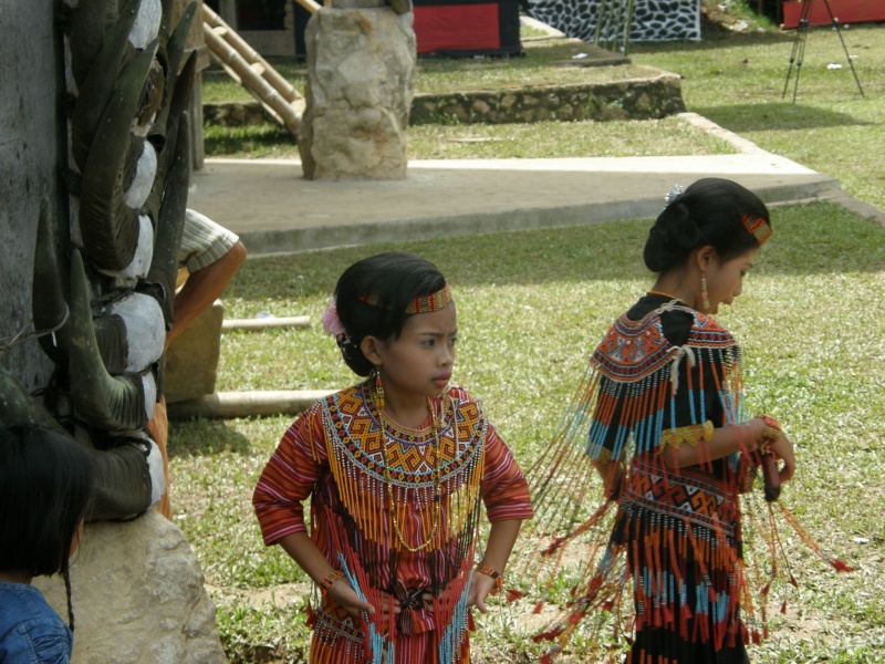 PA260393.jpg