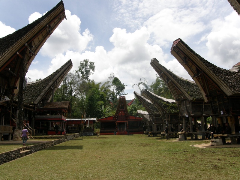 PA260396.jpg