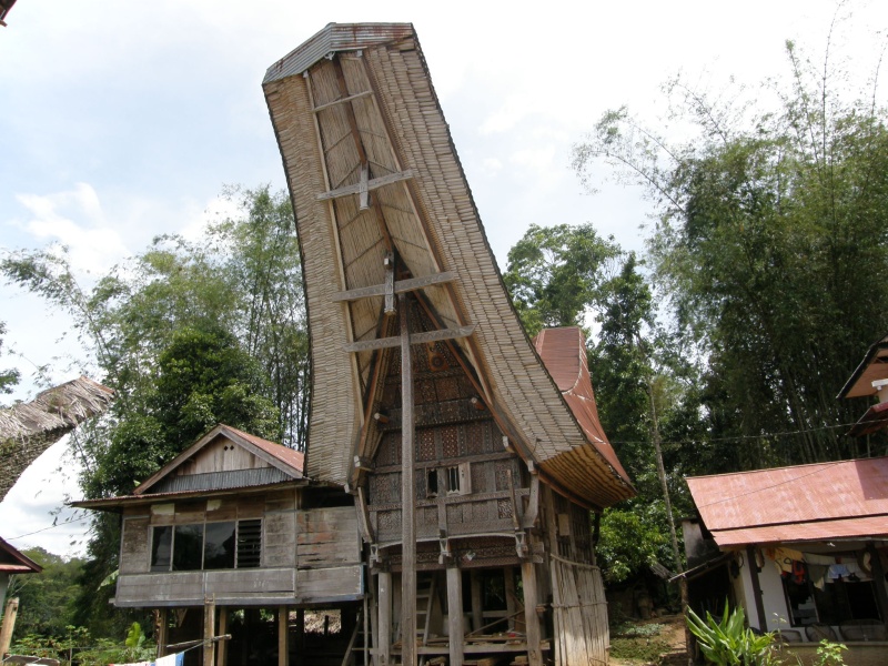 PA260398.jpg