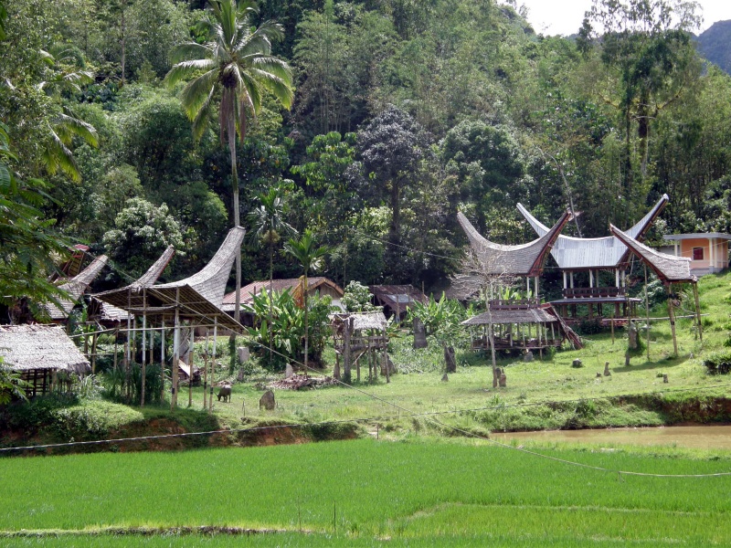 PA260403.jpg